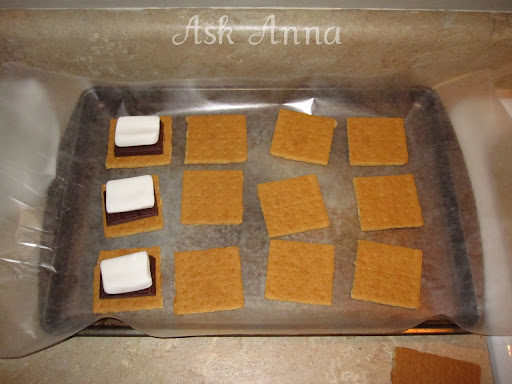 Chocolate Covered S'mores - Ask Anna