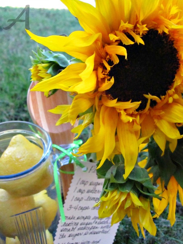 This recipe for the best homemade lemonade is super easy and only requires 3 ingredients! It is the perfect beverage for a party, BBQ or even as part of a hostess gift! | Ask Anna