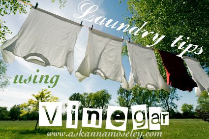 Vinegar Tips – Laundry, Day 1