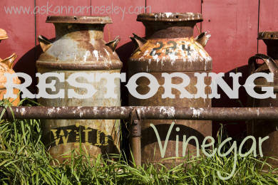 Tips for getting rid of rust, wallpaper and more, with vinegar | Ask Anna