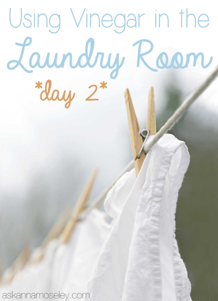 Vinegar Tips – Laundry, Day 2