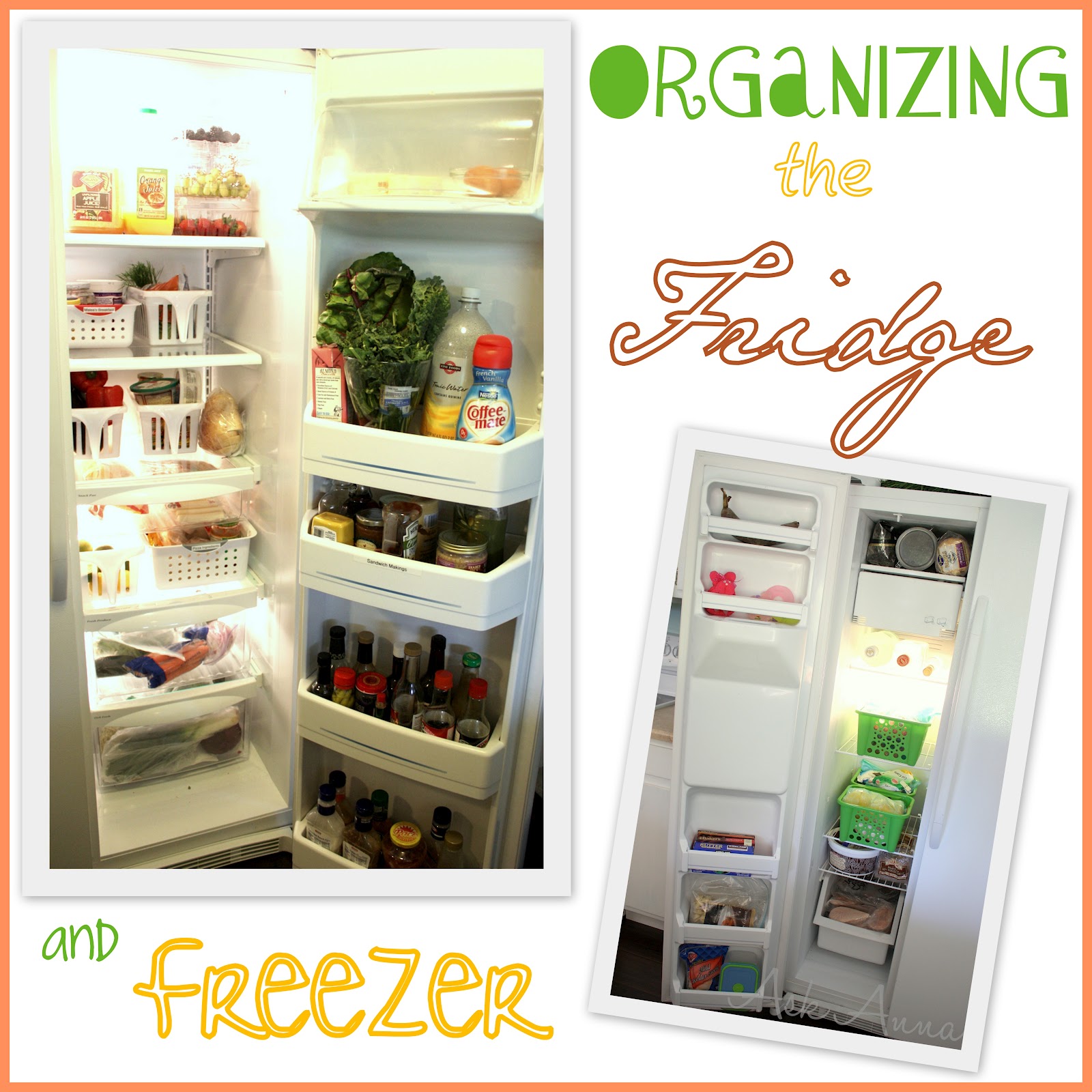 Fridge & Freezer Organization