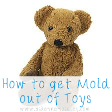 How to get rid of Mold on Toys