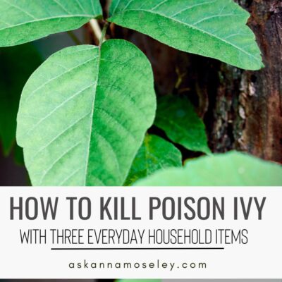 How to Kill Poison Ivy with Everyday Household Items