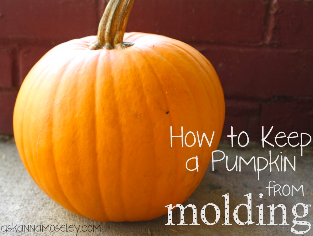 How to Keep Pumpkins from Molding After Carving