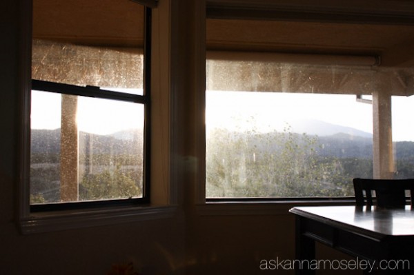 Fall cleaning ~ how to wash windows - Ask Anna