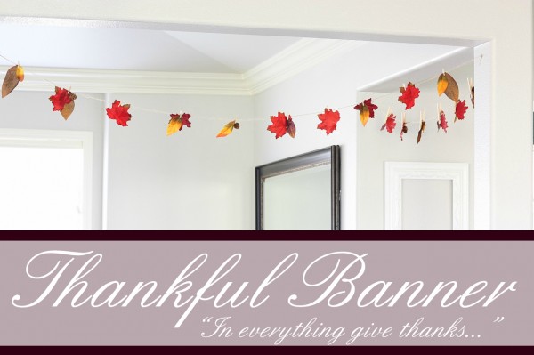 Thankful banner - Ask Anna