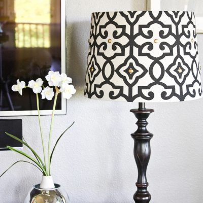 Lampshade Makeover and an Eddie Ross Hack