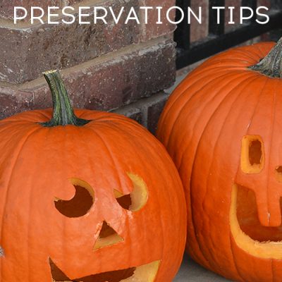 How to Make Carved Pumpkins Last Longer