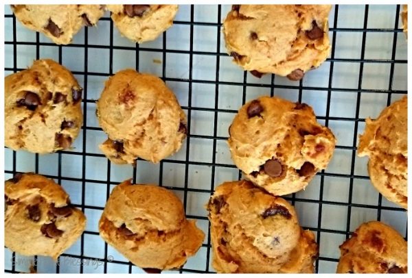 Pumpkin Cinnamon Chip Cookies