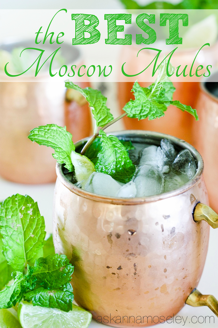 The Best Moscow Mule Recipe Ask Anna,What Is The Recipe For Hummingbird Food With Sugar And Water