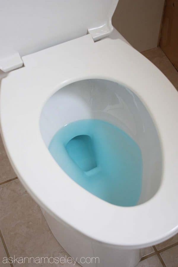 An easy toilet cleaning solution - Ask Anna