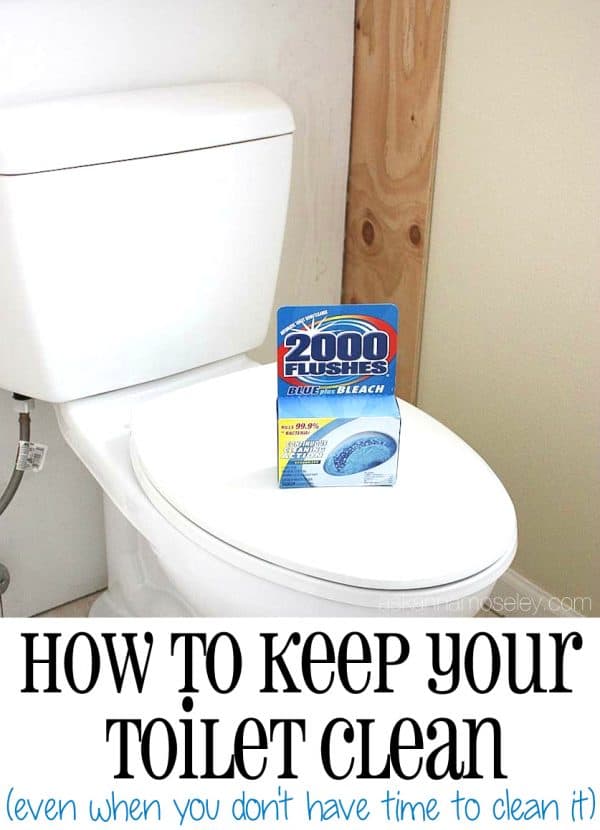 An easy toilet cleaning solution for when you don't have time to clean - Ask Anna