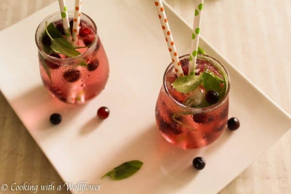 Cranberry mint lime sparkling water recipe