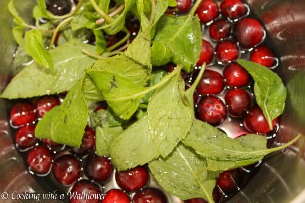 Cranberry mint lime sparkling water recipe