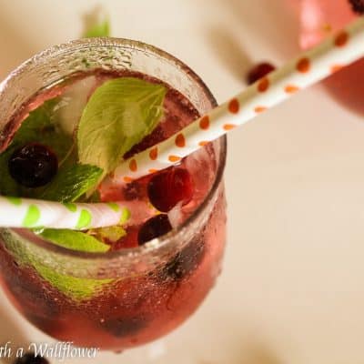 Cranberry Mint Lime Sparkling Water