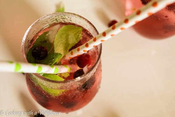 Cranberry mint lime sparkling water recipe