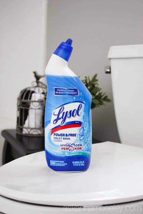 My all time favorite toilet bowl cleaner - Ask Anna