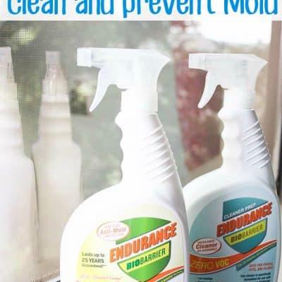 The Safest way to Clean and Prevent Mold