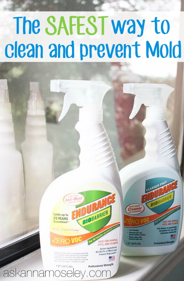 The safest way to clean and prevent mold - Ask Anna