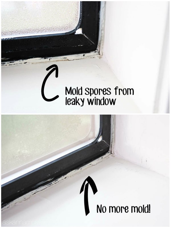 The safest way to clean and prevent mold from coming back - Ask Anna