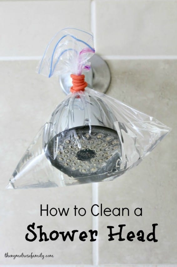 How to Clean a Shower Head with NY Melrose Family 