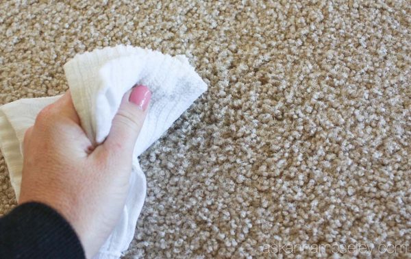 How to remove carpet stains (old, new and pet stains!) - Ask Anna