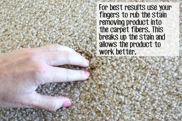 How to remove carpet stains (old, new and pet stains!) - Ask Anna