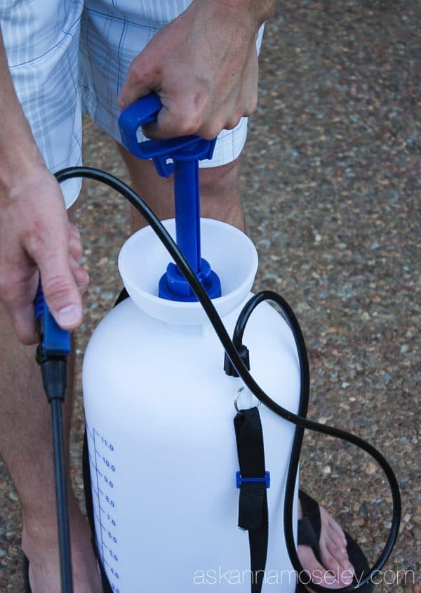 How to save water but still water your flowers during a drought