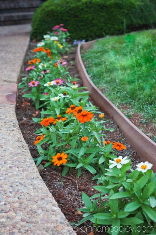 How to save water but still water your flowers during a droughtHow to save water but still water your flowers during a drought - Ask Anna