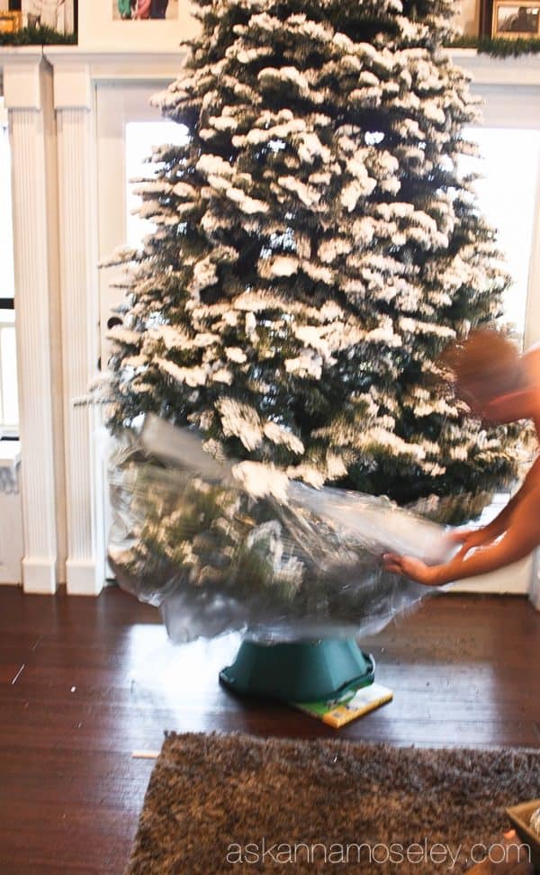 How to prevent your Christmas tree from making a mess and dropping needles all over the floor - Ask Anna