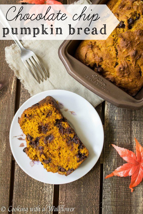 Moist pumpkin bread filled with semi-sweet chocolate chips in every bite. This delicious chocolate chip pumpkin bread is a great way to start fall mornings.