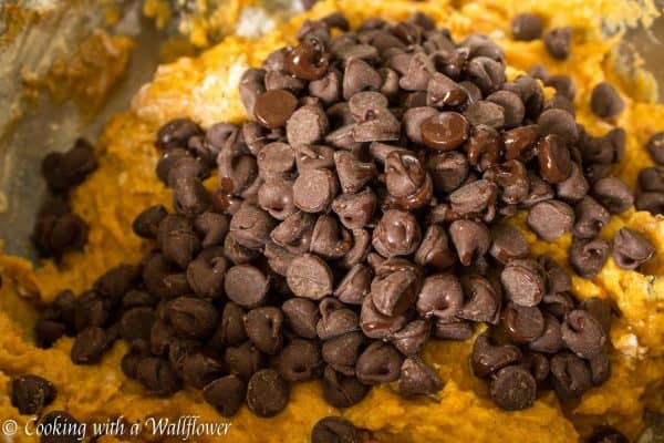 Pumpkin Chocolate Chip Bread