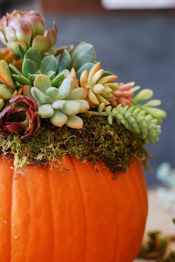  A collection of the most beautiful and creative Fall and Thanksgiving centerpieces, perfect for your holiday table - Ask Anna