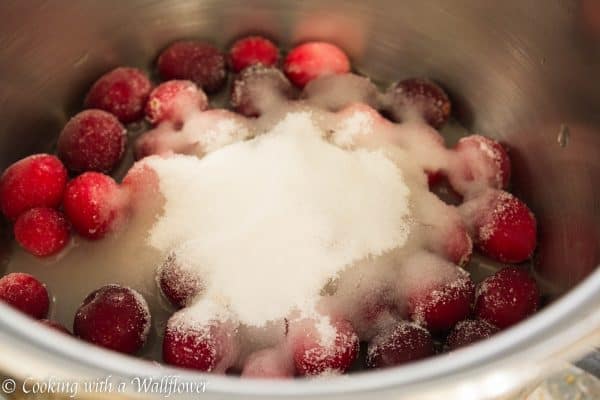 Apple Cranberry Pie 5