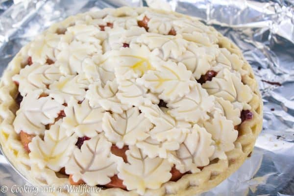 Apple Cranberry Pie 9