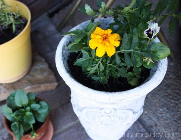 Spring front porch with Better Homes and Gardens - see how to brighten up your front porch on a budget | Ask Anna