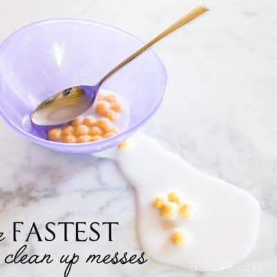 The Fastest Way to Clean up Messes