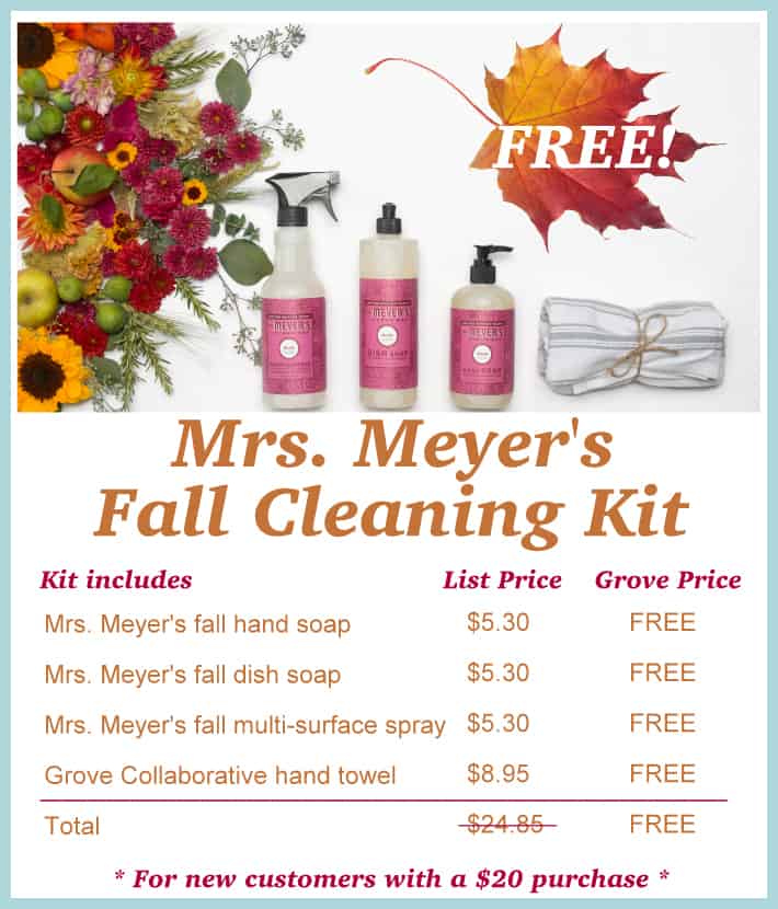 Get Mrs. Meyer's new Fall scents for FREE | Ask Anna