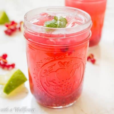 Red Currant Lime Soda