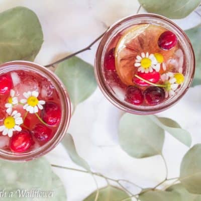 Cranberry Hibiscus Iced Tea