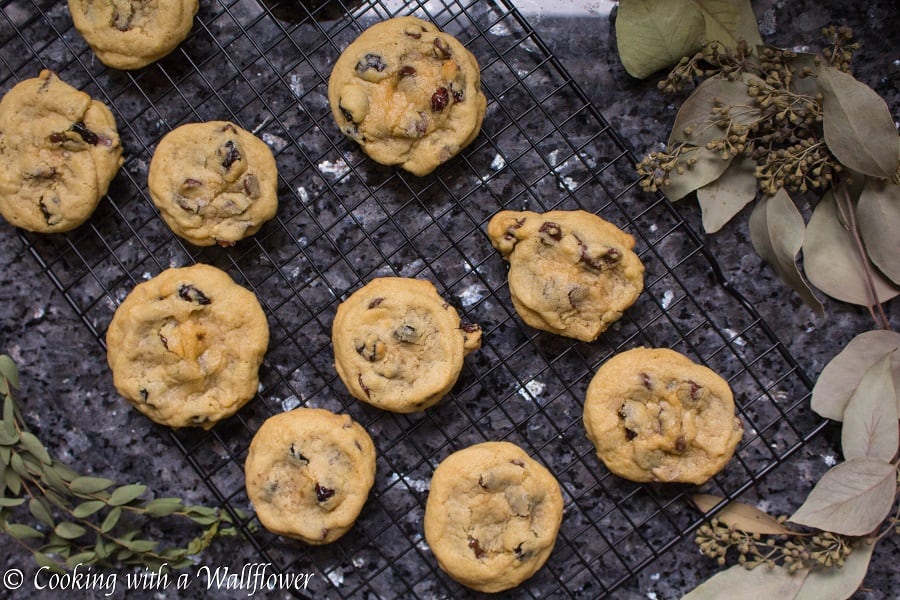 Cranberry Dark Chocolate Chunk Cookies