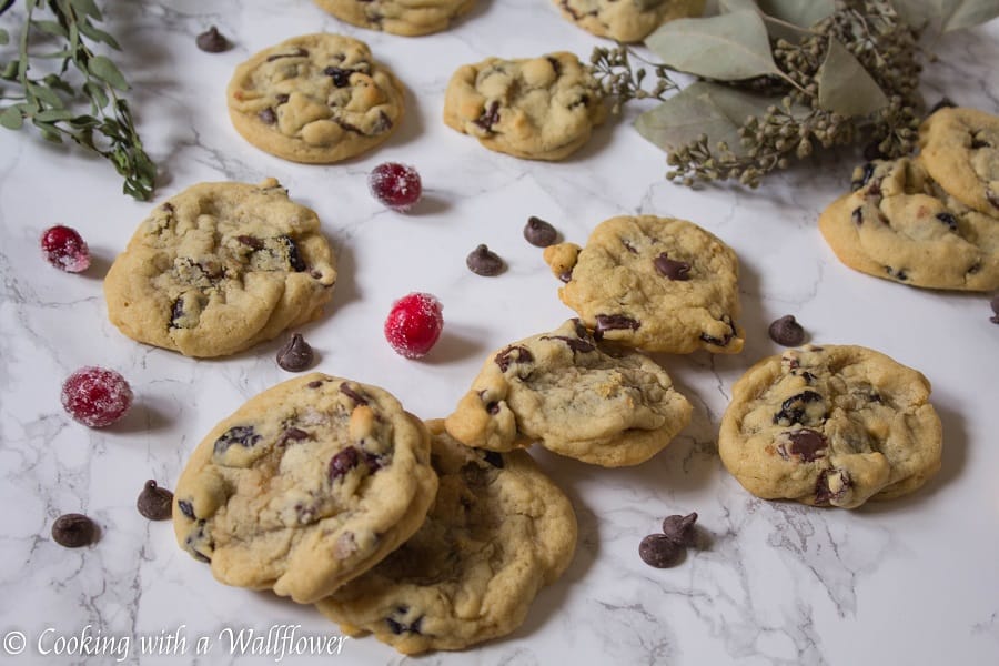 Cranberry Dark Chocolate Chunk Cookies