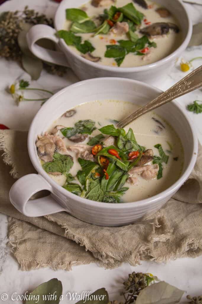 Chicken Coconut Soup