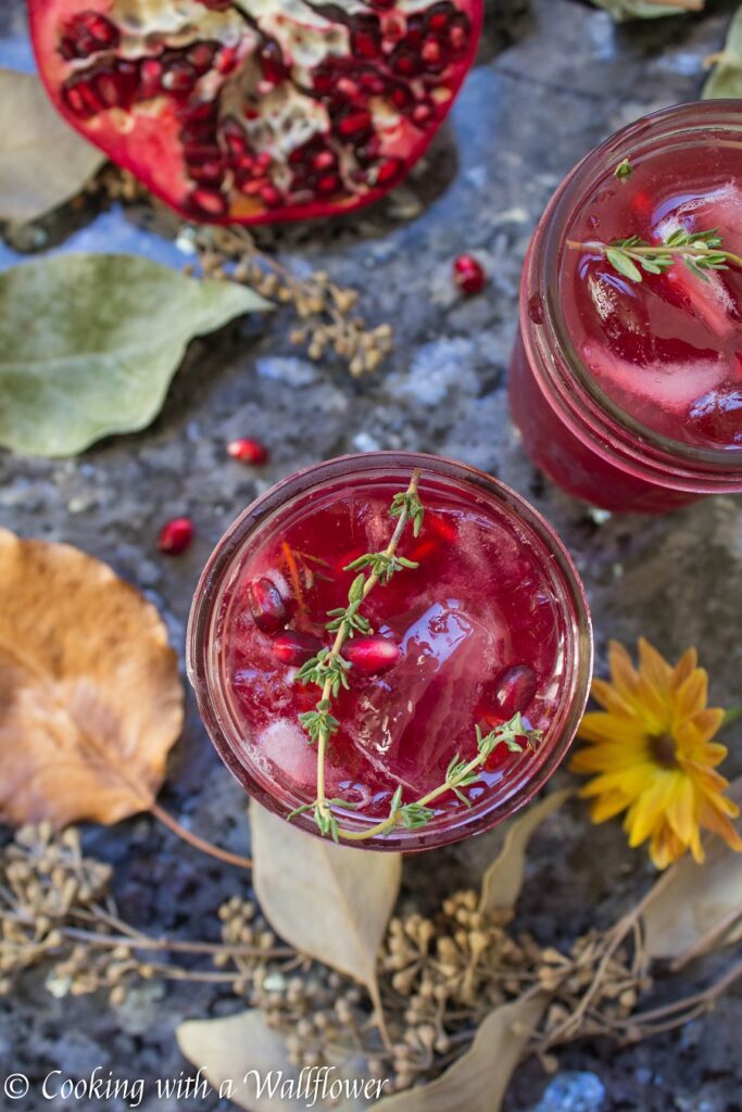 Pomegranate Gin Cocktail 