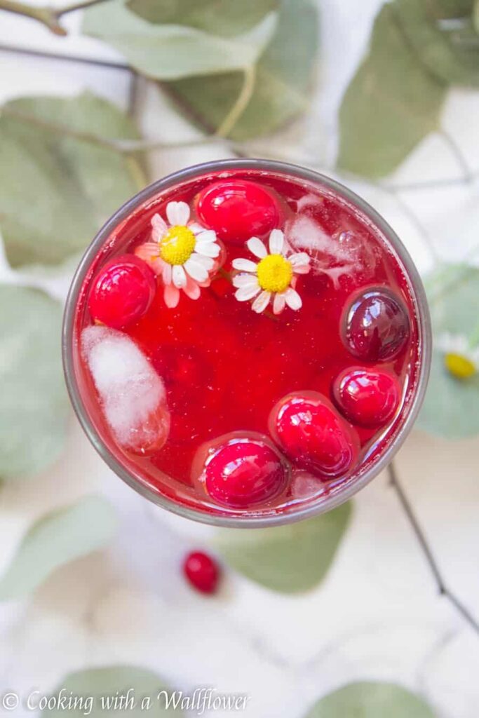 Cranberry Hibiscus Iced Tea | Ask Anna