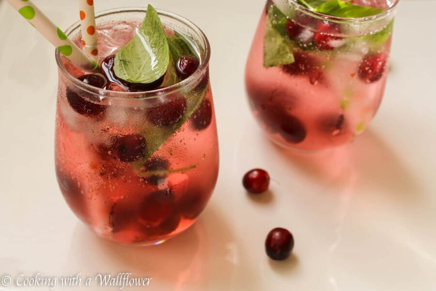 Cranberry Mint Lime Sparkling Water | Ask Anna