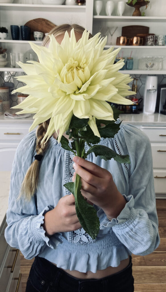 Dinnerplate dahlia, as big as my daughter's face.