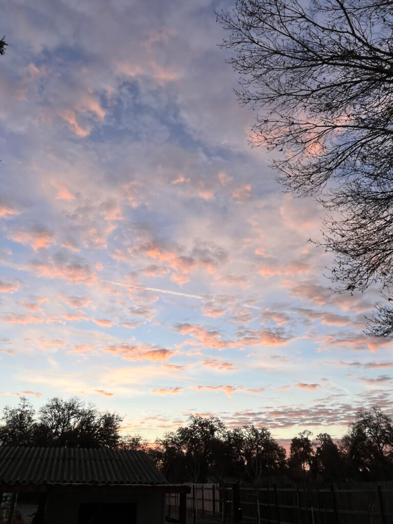 Heart in the sky at sunrise over Little Wagon Farmstead.