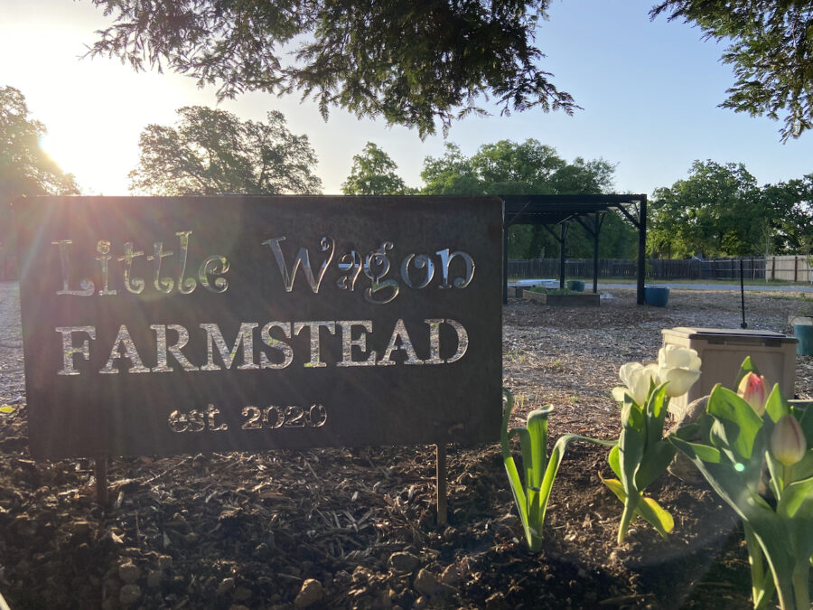 Flower garden at Little Wagon Farmstead.